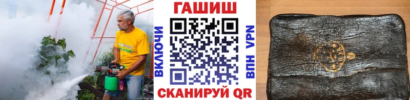 ГАШ Premium Кашира