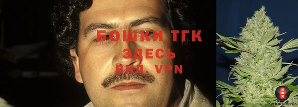 сатива Абдулино